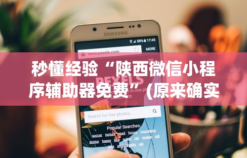 秒懂经验“陕西微信小程序辅助器免费	”(原来确实是有挂)