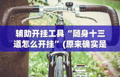 辅助开挂工具“随身十三道怎么开挂”(原来确实是有挂)