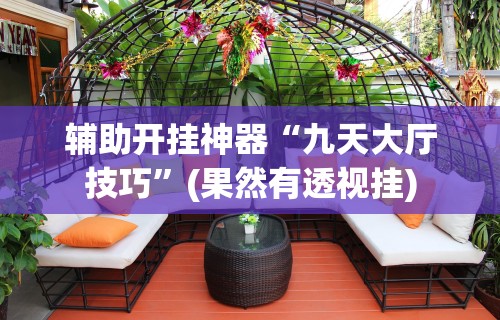 辅助开挂神器“九天大厅技巧	”(果然有透视挂)
