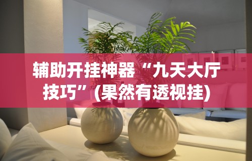 辅助开挂神器“九天大厅技巧”(果然有透视挂)