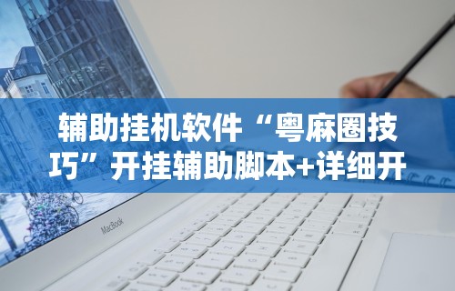 辅助挂机软件“粤麻圈技巧”开挂辅助脚本+详细开挂