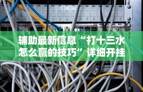 辅助最新信息“打十三水怎么赢的技巧”详细开挂安装教程