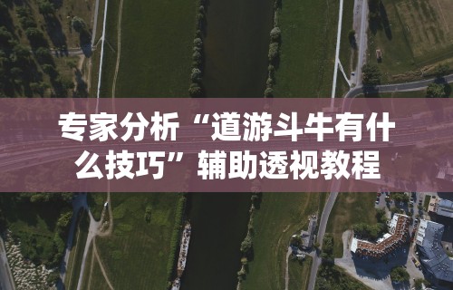专家分析“道游斗牛有什么技巧”辅助透视教程