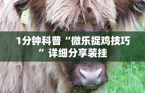 1分钟科普“微乐捉鸡技巧”详细分享装挂