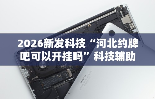 【知道】“卡丁娱乐辅助器试用版”实测确实有挂