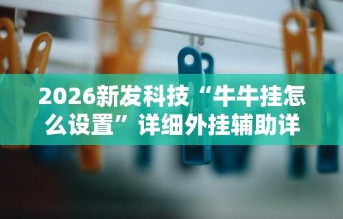 2026新发科技“牛牛挂怎么设置”详细外挂辅助详细教程