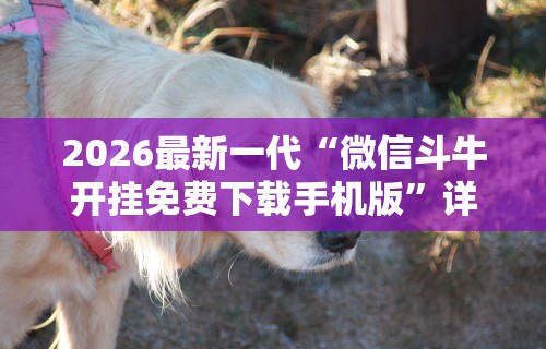 2026最新一代“微信斗牛开挂免费下载手机版”详细分享装挂步骤