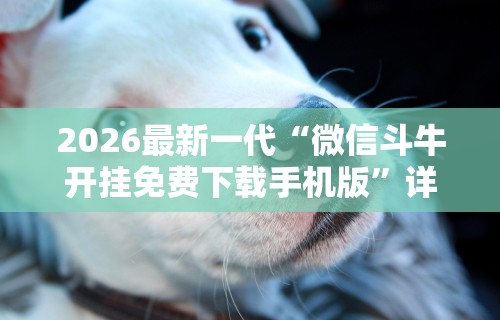 2026最新一代“微信斗牛开挂免费下载手机版”详细分享装挂步骤