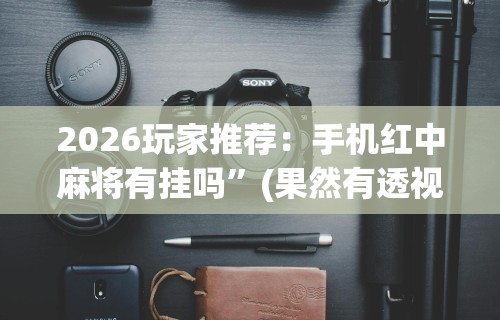 2026玩家推荐：手机红中麻将有挂吗”(果然有透视挂)