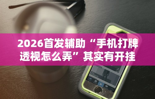 2026首发辅助“手机打牌透视怎么弄	”其实有开挂插件!