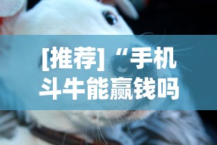 [推荐]“手机斗牛能赢钱吗”(其实是有挂)