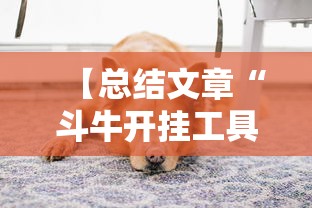 【总结文章“斗牛开挂工具哪个好用”最新辅助详细教程