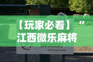 【玩家必看】“江西微乐麻将有挂吗	”详细分享装挂步骤教程