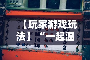 【玩家游戏玩法】“一起温州麻将有挂吗	”揭秘透视辅助万能挂用法