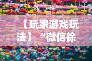 【玩家游戏玩法】“微信徐州麻将红中挂	”(原来确实是有挂)