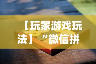 【玩家游戏玩法】“微信拼三张开挂试用一天能提现吗”作弊挂(辅助外挂+教程)