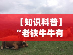 【知识科普】“老铁牛牛有挂吗”开挂(透视)辅助教程