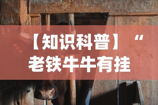 【知识科普】“老铁牛牛有挂吗	”开挂(透视)辅助教程