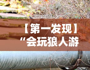 【第一发现】“会玩狼人游戏透视挂”通用版下载教程