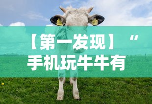 【第一发现】“手机玩牛牛有挂吗”-开挂神器-包教包会