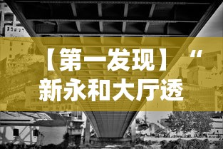 【第一发现】“新永和大厅透视软件”原来有神器下载！