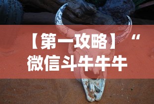 【第一攻略】“微信斗牛牛牛群有挂吗”(详细透视教程)-知乎