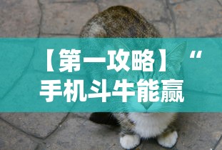 【第一攻略】“手机斗牛能赢钱吗	”确实可以使用辅助