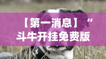 【第一消息】“斗牛开挂免费版最新版本更新内容”(助赢详细开挂教程)