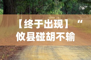 【终于出现】“攸县碰胡不输的技巧”(果然有透视挂)