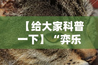 【给大家科普一下】“弈乐麻将外卦神器下载安装	”详细外挂安装步骤