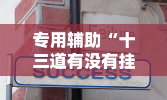 专用辅助“十三道有没有挂车的”详细辅助教程分享