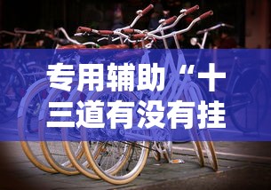 专用辅助“十三道有没有挂车的	”详细辅助教程分享