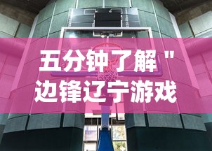 五分钟了解＂边锋辽宁游戏有挂吗”(果然有透视挂)