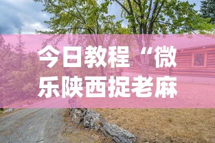 今日教程“微乐陕西捉老麻子技巧”(太坑了果然有挂)