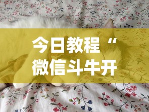 今日教程“微信斗牛开挂免费下载安装?_游戏_玩家_工具 今日教程“微信斗牛开挂免费下载安装?_游戏_玩家_工具