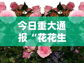 今日重大通报“花花生活圈有挂吗”掌握辅助功能必胜规则