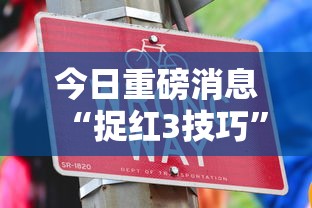 今日重磅消息“捉红3技巧”通用版下载教程