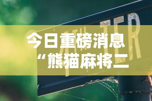 今日重磅消息“熊猫麻将二人怎么开挂!详细开挂教程 今日重磅消息“熊猫麻将二人怎么开挂!详细开挂教程