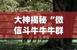 大神揭秘“微信斗牛牛牛群有挂吗(透视)	”开挂(透视)辅助教程