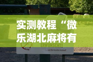 实测教程“微乐湖北麻将有挂吗	”(透视挂)辅助透视教程