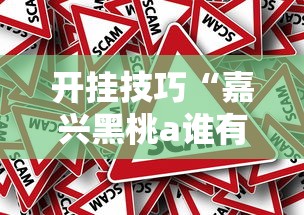 开挂技巧“嘉兴黑桃a谁有挂合作	”附开挂脚本详细步骤