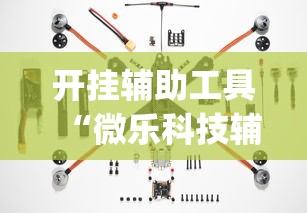 开挂辅助工具“微乐科技辅助器(免费)”附透视挂详细教程