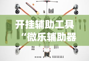 开挂辅助工具“微乐辅助器下载”(透视)其实确实有挂