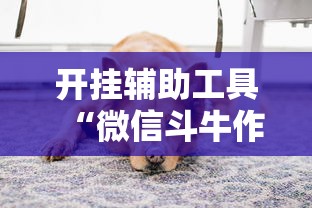 开挂辅助工具“微信斗牛作弊软件”开挂安装教程