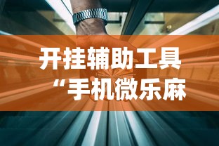 开挂辅助工具“手机微乐麻将开挂视频(透视)”开挂(透视)辅助教程